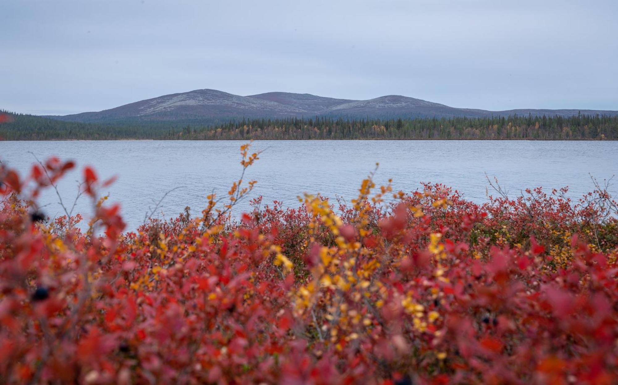 Fell Centre Kiilopaeae, Hotelli Niilanpaeae Saariselka Kültér fotó