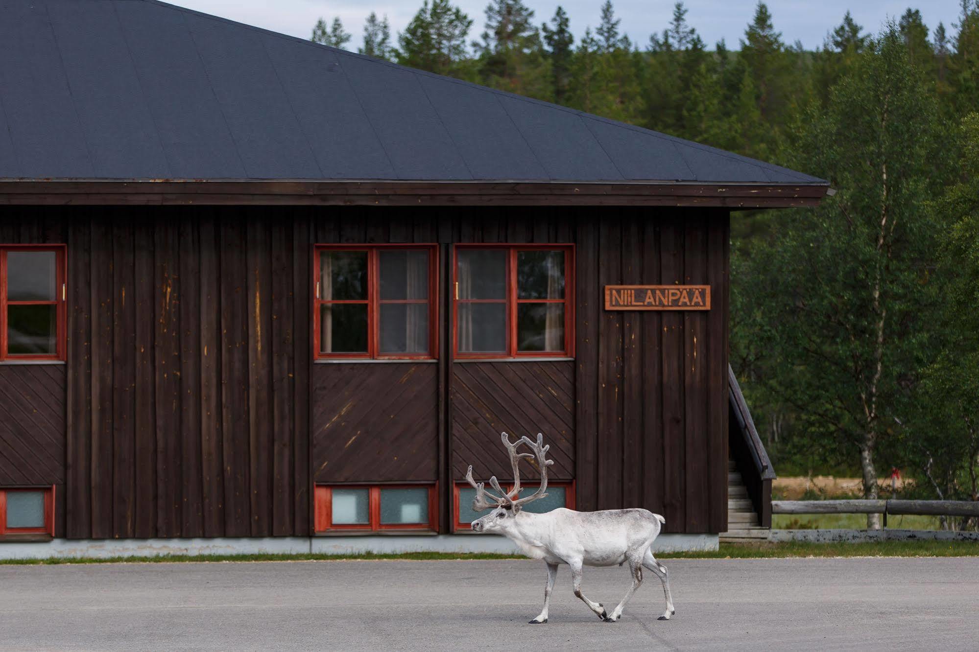 Fell Centre Kiilopaeae, Hotelli Niilanpaeae Saariselka Kültér fotó